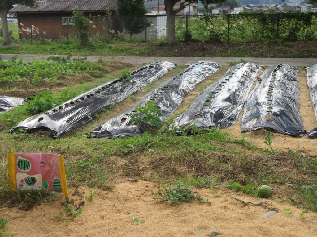 インタビュー写真