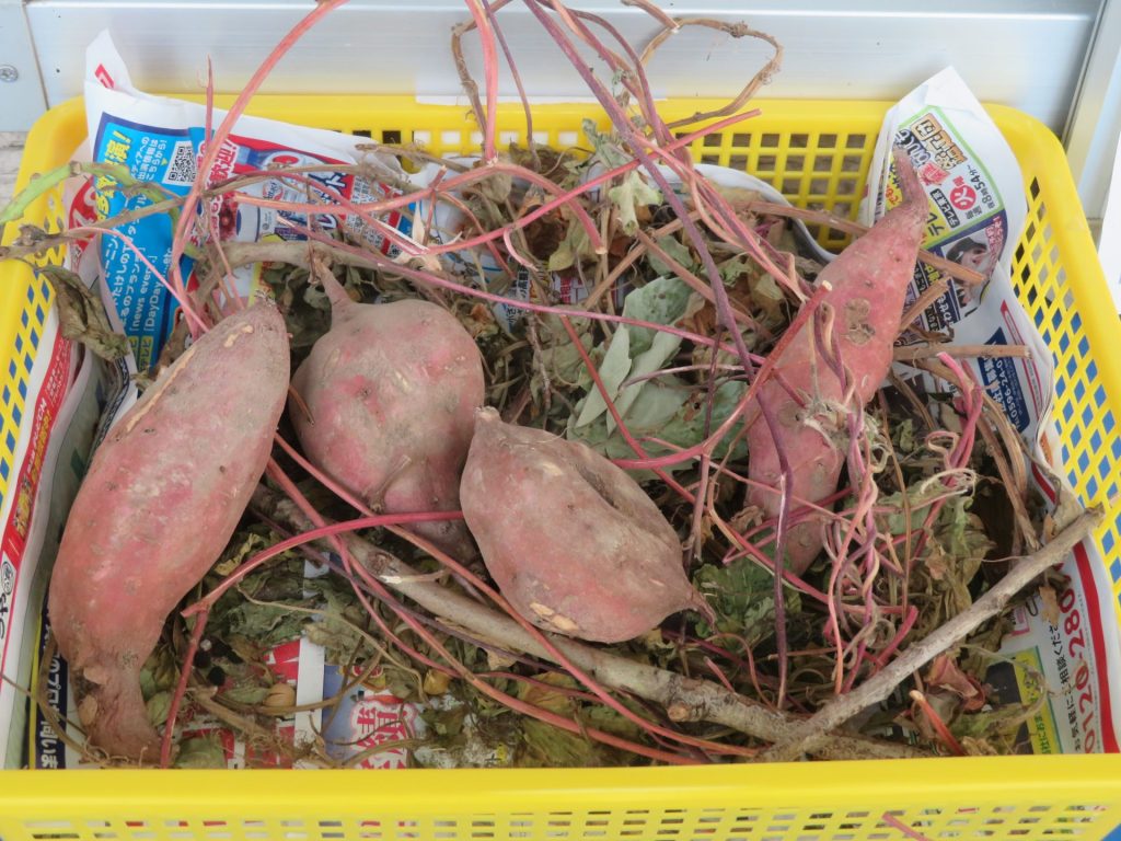 インタビュー写真